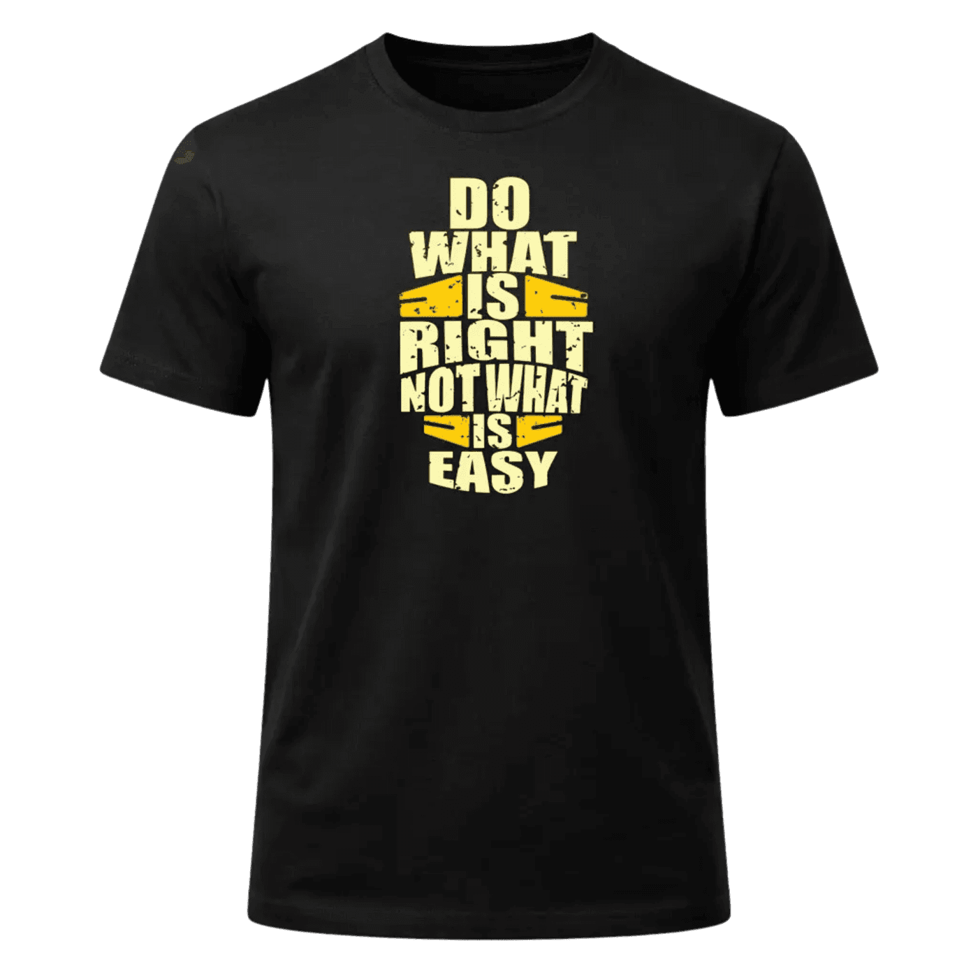 Do What Is Right Not What is Easy Graphic T-Shirt